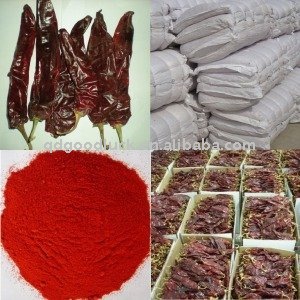 New sweet paprika powder
