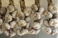 Peeled Garlic  Non Peeled Garlic Garlic Clove Big Garlic Clove Bulk Garlic Producer Satikuwar Garlic