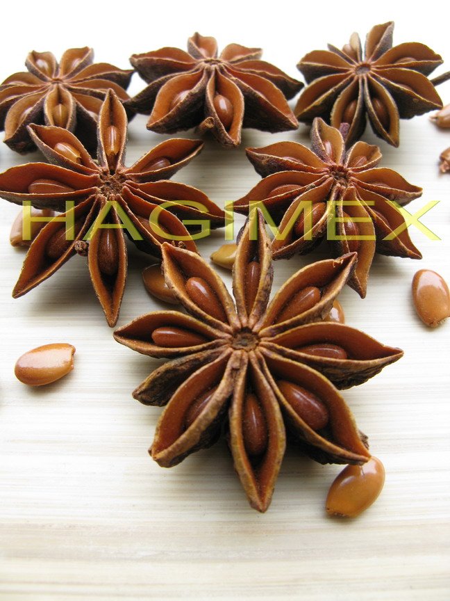 STAR ANISEEDS GRADE 1