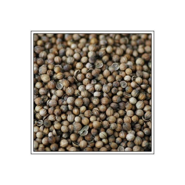  Dehydrated   Coriander  Seed