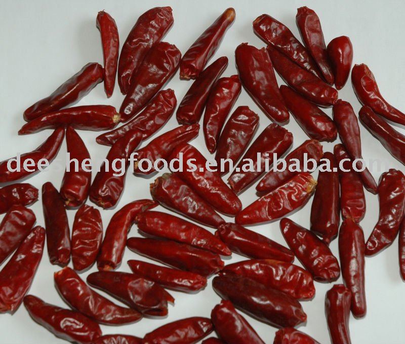 Hot Chilli Bullet