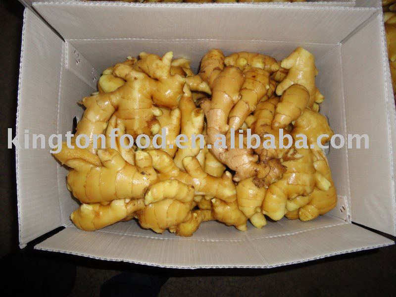 chinese  fresh  raw   ginger