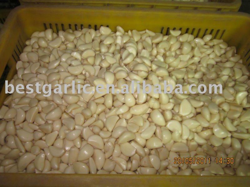 Fresh peeled garlic (garlic clove)