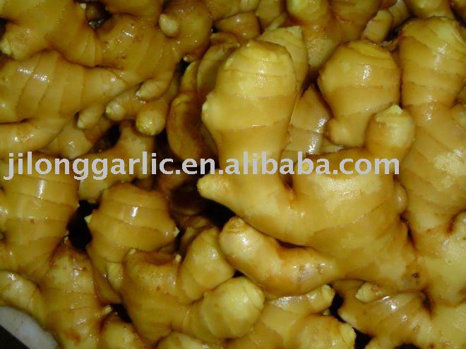 jinlong fresh ginger