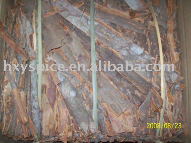2011 New crop/ cassia   broken   pressed 