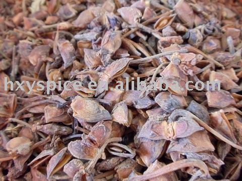 Star aniseeds broken