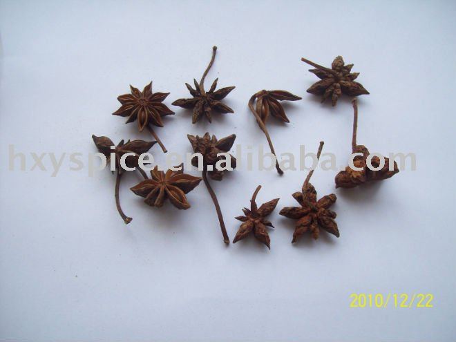  Star   aniseed s with  stem 