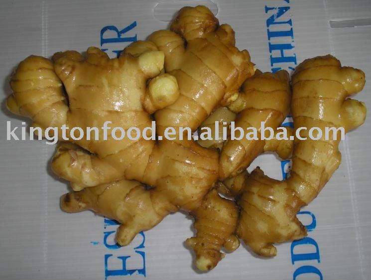 best  price  fresh  ginger