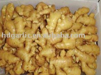 ginger root