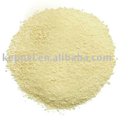 Dehydrated Onion Powder
