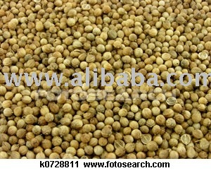 Coriander whole and powder
