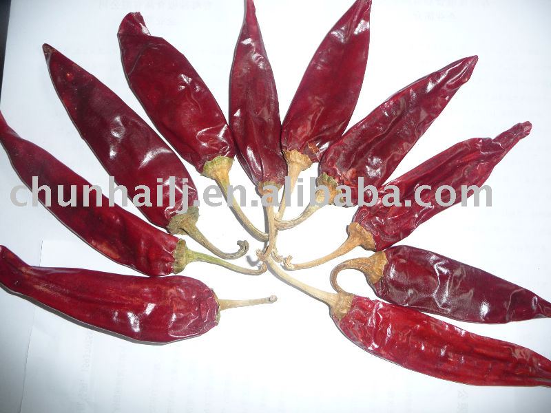  Yidu   Paprika 