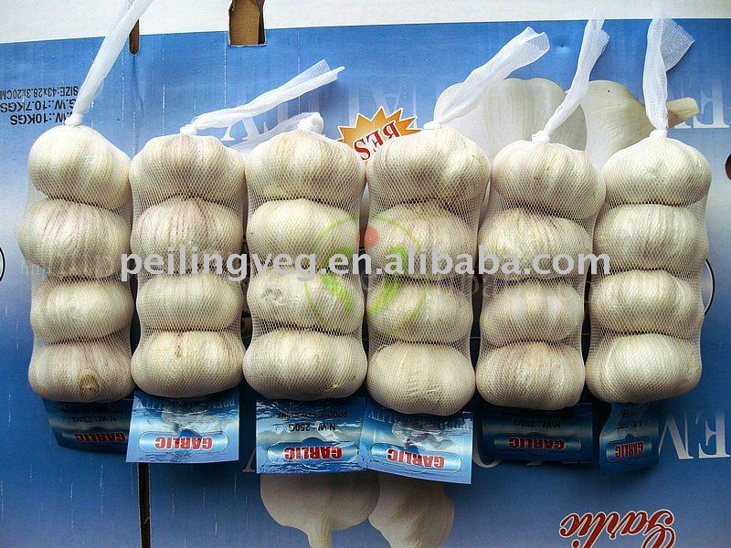 supply fresh galic (5.5cm)