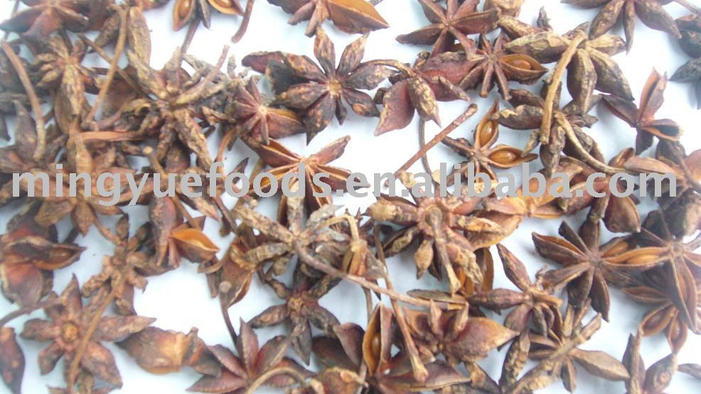  Star   aniseed s with  stem s