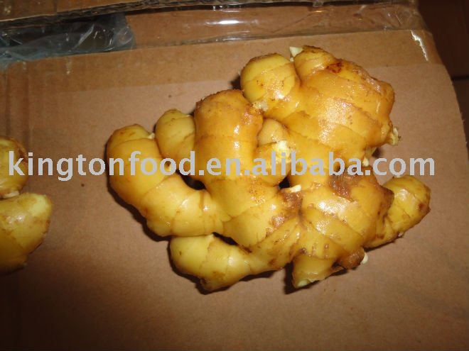 2010 chinese mesh bag ginger