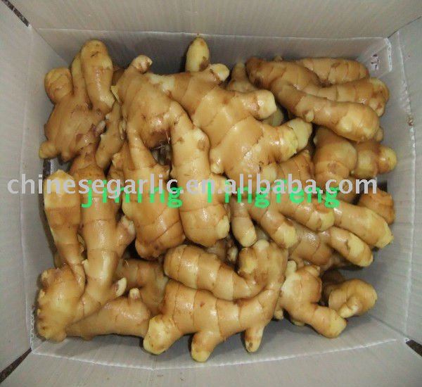  Fresh   yellow   ginger 
