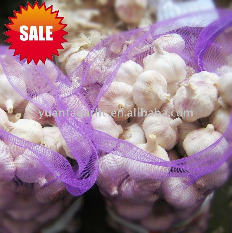 Chinese  Fresh   Garlic  in  Mesh   Bag  Package