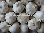2011 Chinese new crop fresh pure white garlic in mesh bag package.