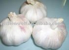 Chinese new crop frehs red Normal white garlic in mesh bag package.