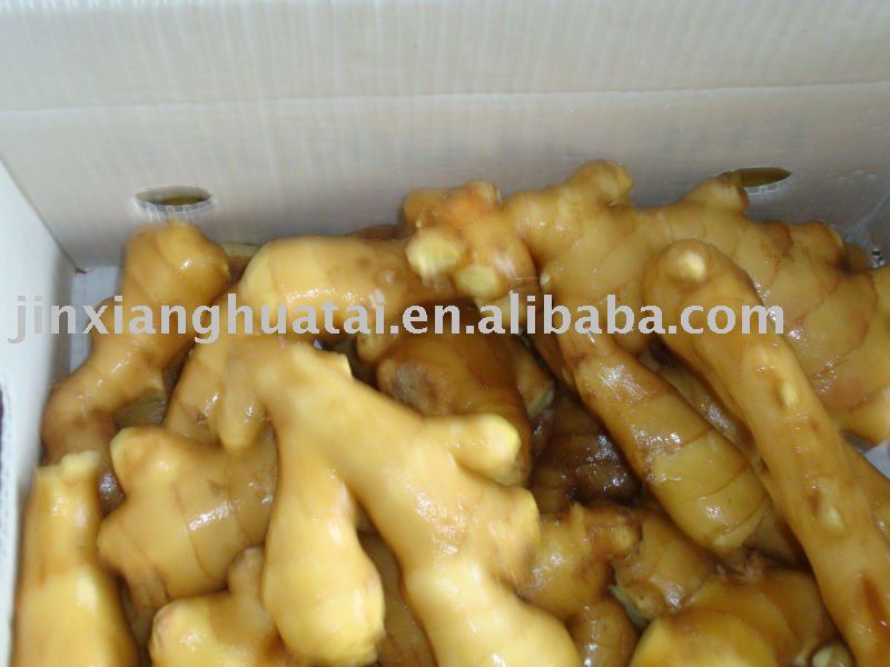  anqiu   fresh   ginger 