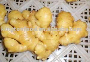 chinese best price fresh ginger