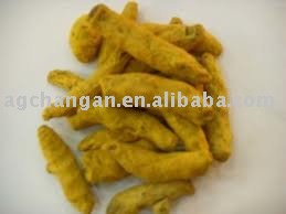 Sell/offer/supply rhizoma curcumae longae/Rhizome of Common Turmeric