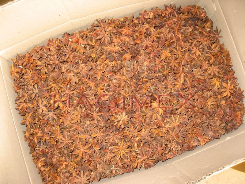 VIETNAMESE STEMLESS STAR ANISEED