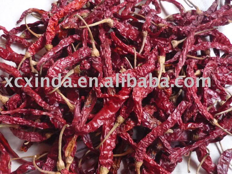 dried whole chili,