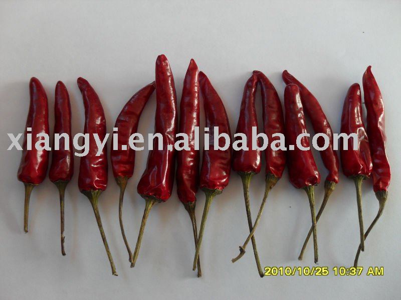 chaotian( tianying )  chili  without stem