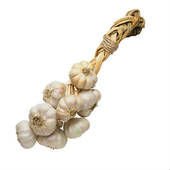 Organic Fresh Peeled Garlic,Indian Premium Garlic,Pure Garlic,Garlic Huge Producer,Indian Fine Garli