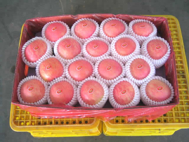 sell-fuji-apples-china-price-supplier-21food