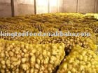 fresh raw ginger