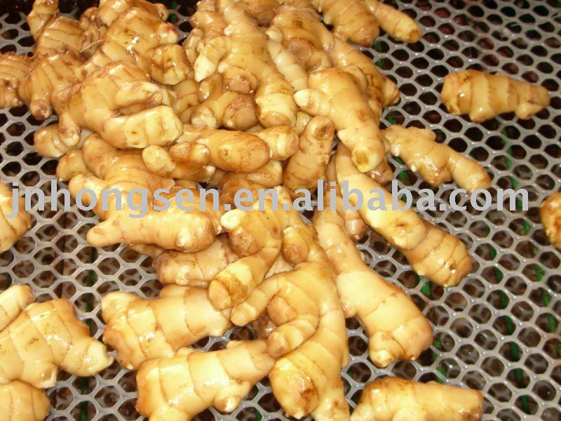 fresh ginger root