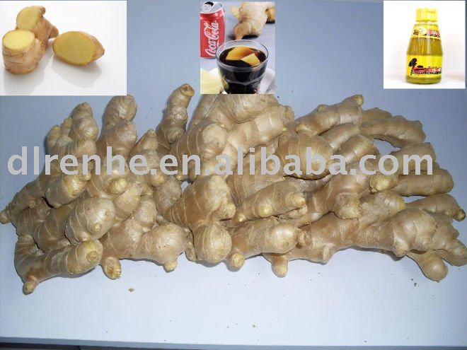 ginger condiment&seasoning
