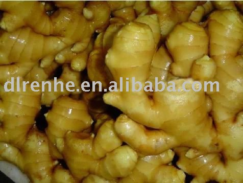 chinese  spice   fresh   ginger  size 200g up