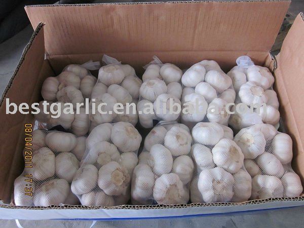 2011 crop pure white garlic with small prepack