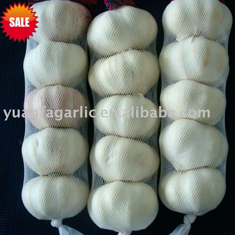 China Garlic in Carton Package