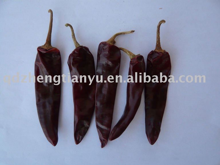 red chilli  chili  pods