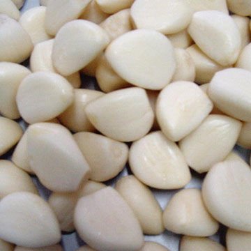 Export Quality Garlic,Organic Garlic,Common Yield Garlic,Bulk Garlic.
