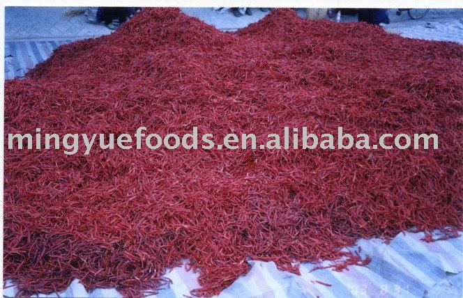 Yunan  dried   red   chilli es  stemless 