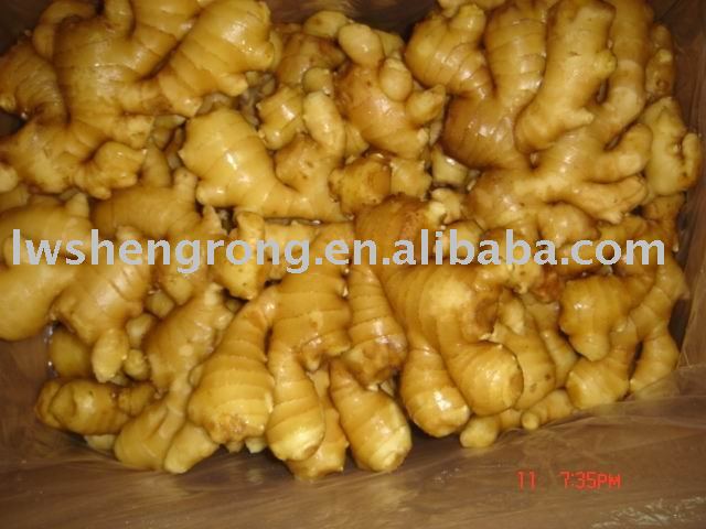  ginger ,china  ginger , 150g   ginger 