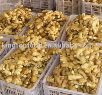 raw ginger 2010
