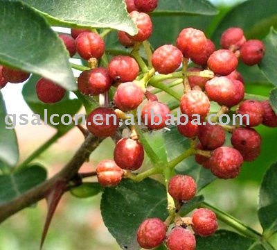 Shaanxi new crop Pricklyash Peel