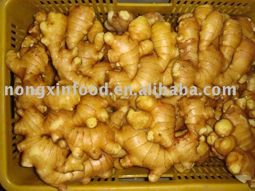 GINGER  CHINESE GINGER  AIR DRIED GINGE FAT GINGER