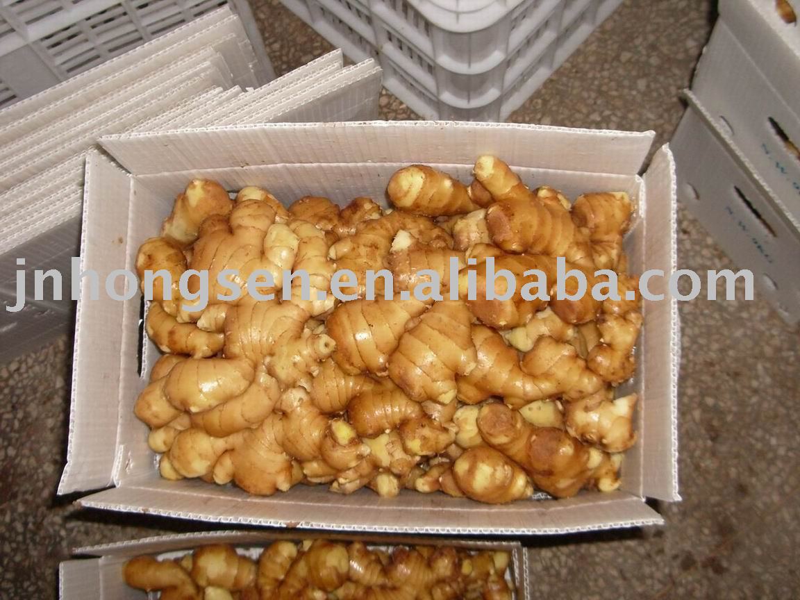 20kg per bag air dried ginger