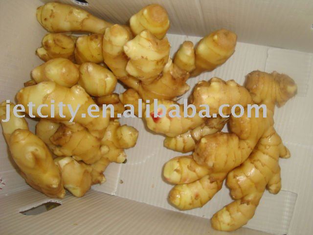 fresh ginger full dry