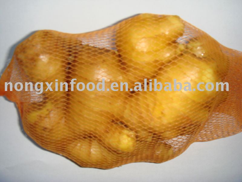 sell big fresh chinese ginger