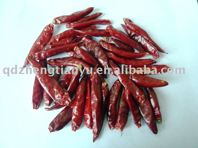 red bullet chilli