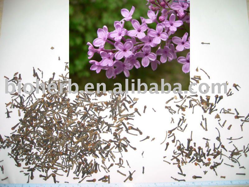 Clove (buds & stems)