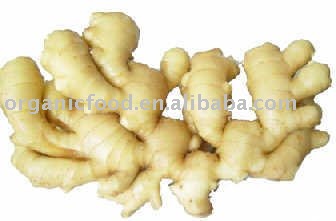 fresh good quality ginger